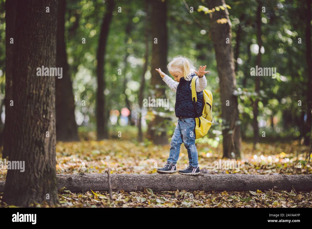 The theme children outdoor activities. Funny little baby Caucasian blond girl walks through forest overcoming obstacles, tree fe Stock Photo