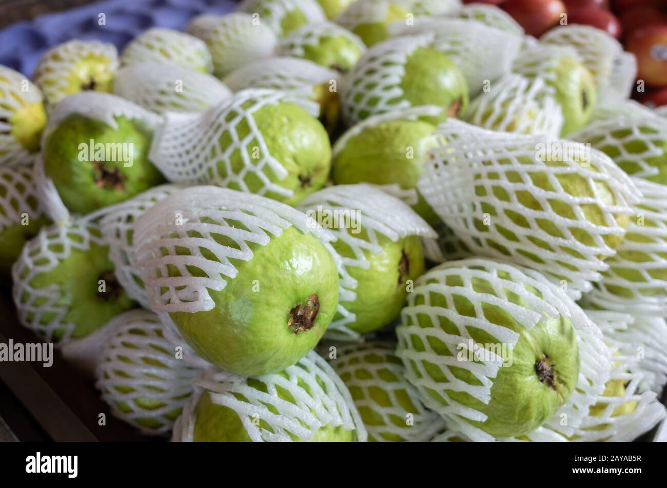 green fresh guava fruit Stock Photo Alamy