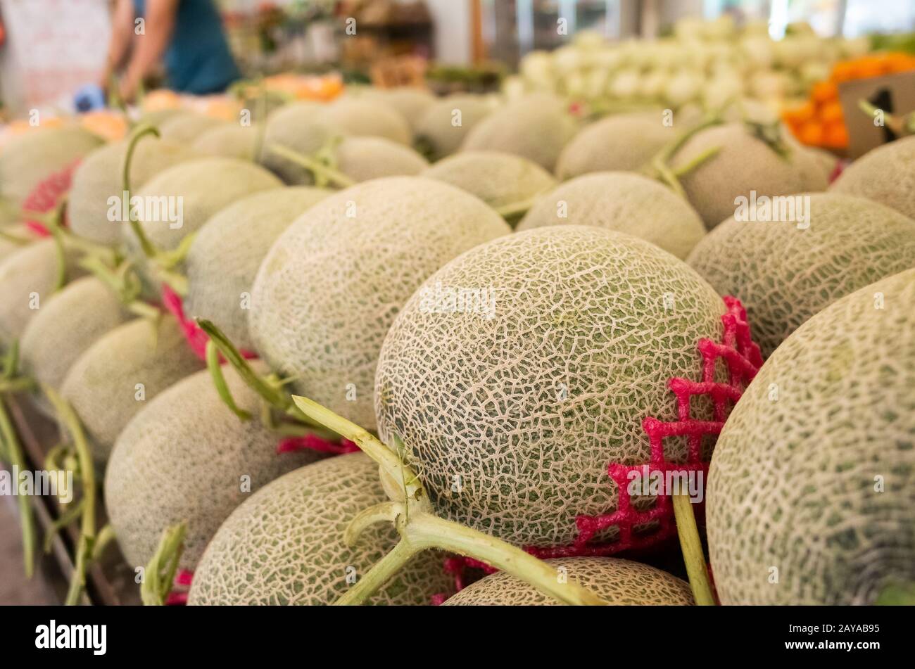 fruit of honeydew melons at the traditional mall Stock Photo Alamy
