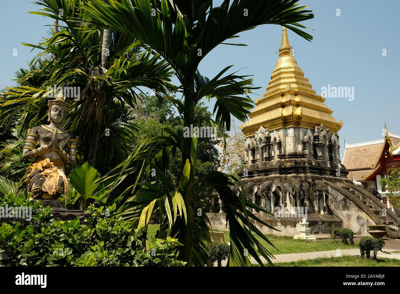 Chiang Mai Thailand - Temple area Chiang Man Buddha and elephant statues Stock Photo