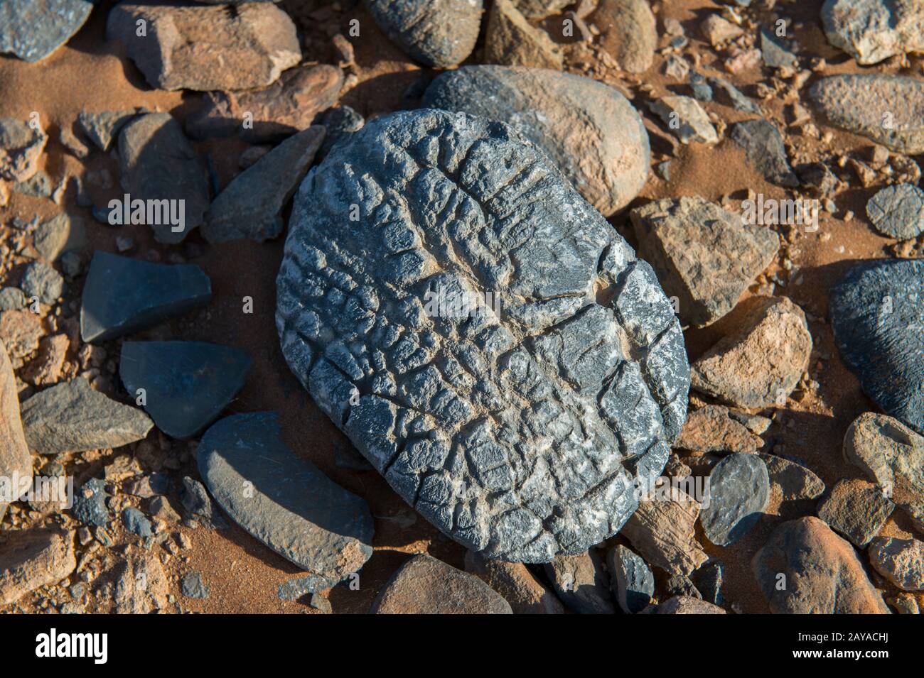 Rock carved by drifting sand hi-res stock photography and images - Alamy