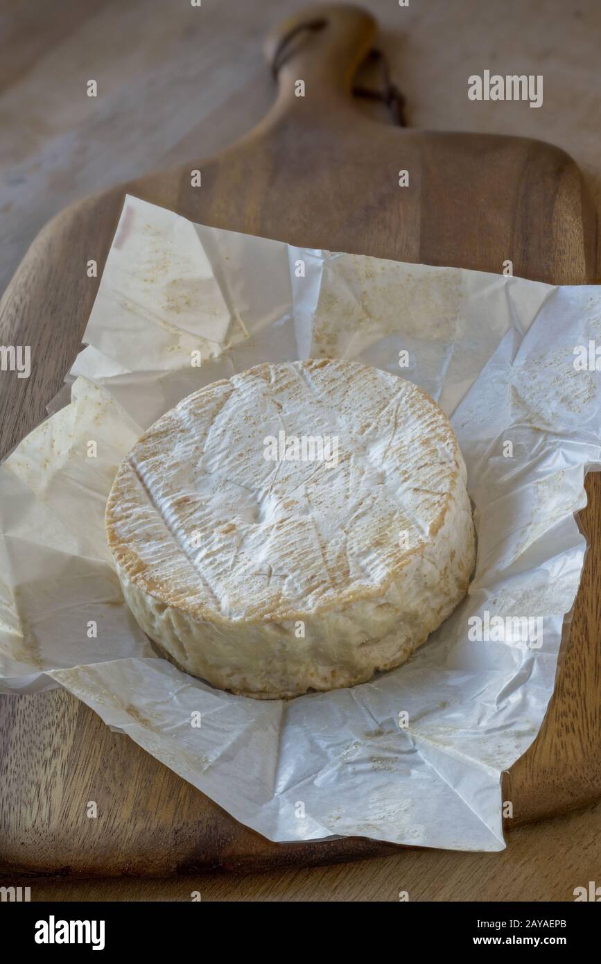 Camembert de Normandie, French soft cheese Stock Photo