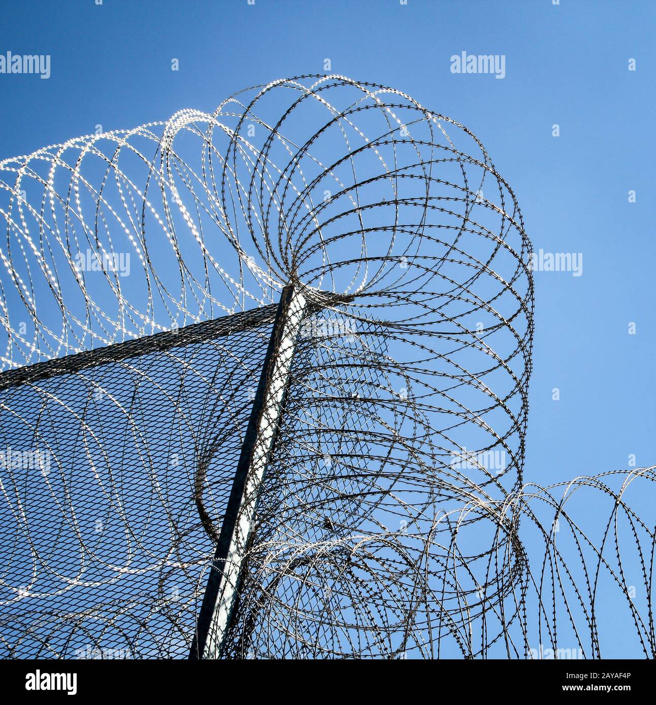 barbed wire on a fence of a prison to prevent unauthorized access Stock Photo