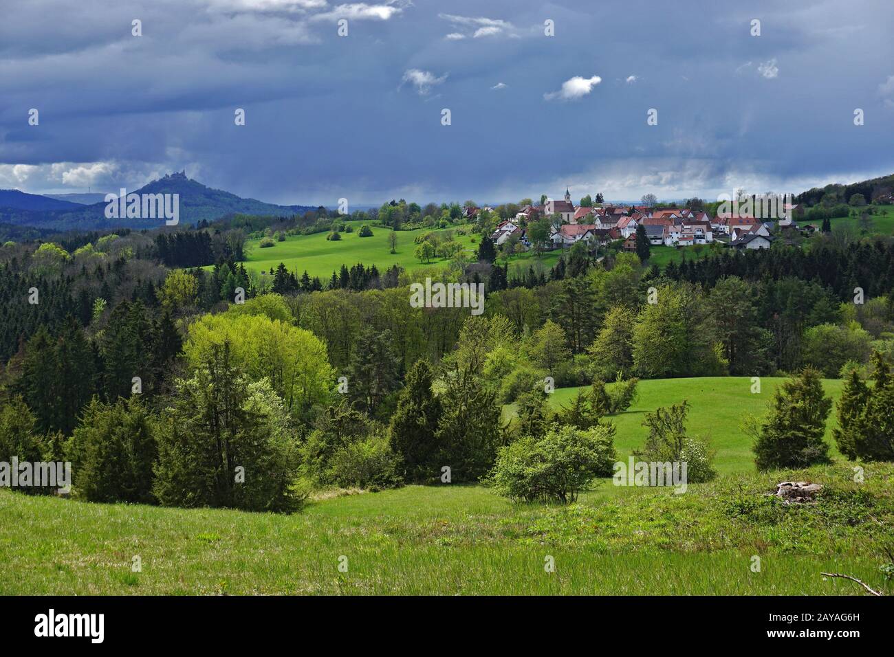 juniper heath, swabian alpas, germany Stock Photo