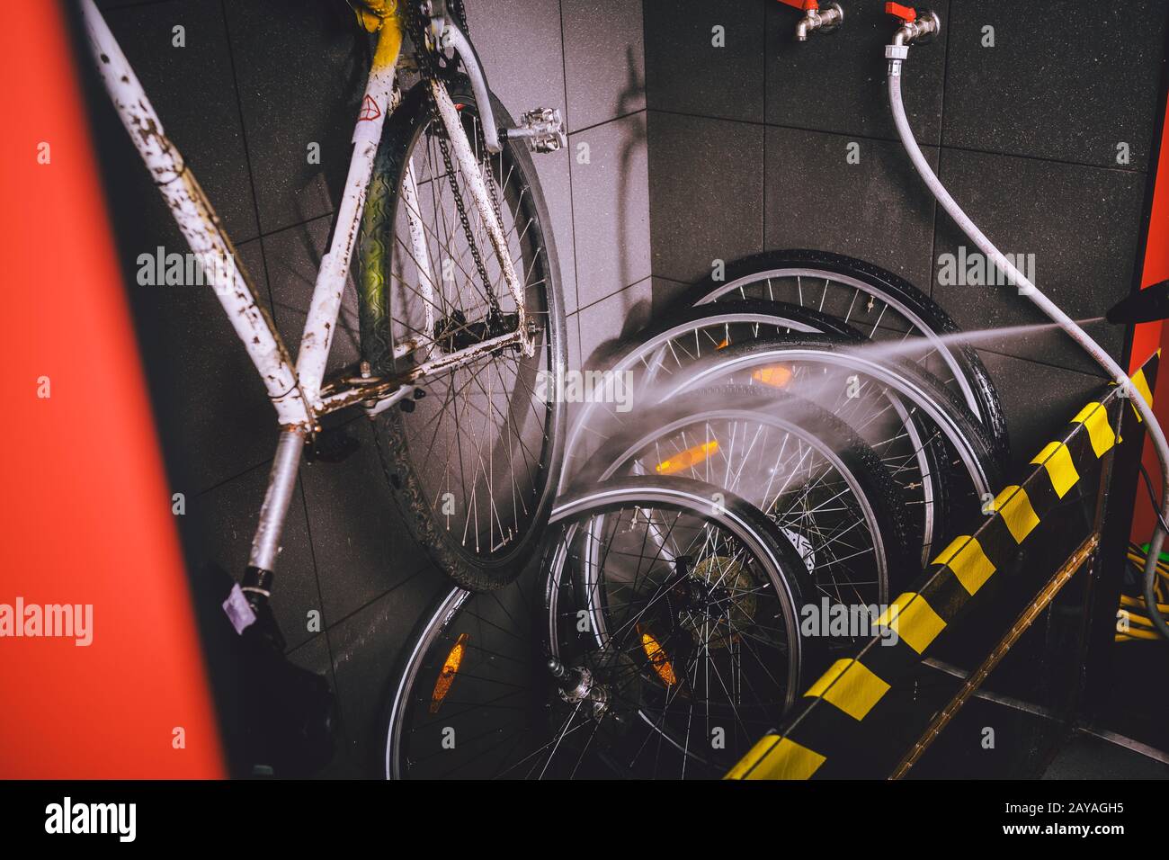 Services professional washing of bicycle in the workshop. Close-up of hand Young Caucasian stylish man doing bicycle cleaning us Stock Photo