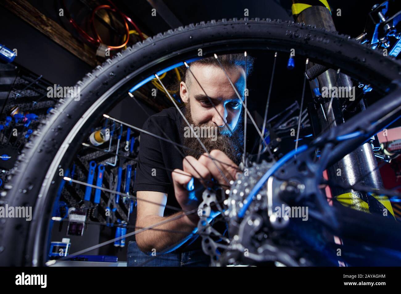 b and b bike shop