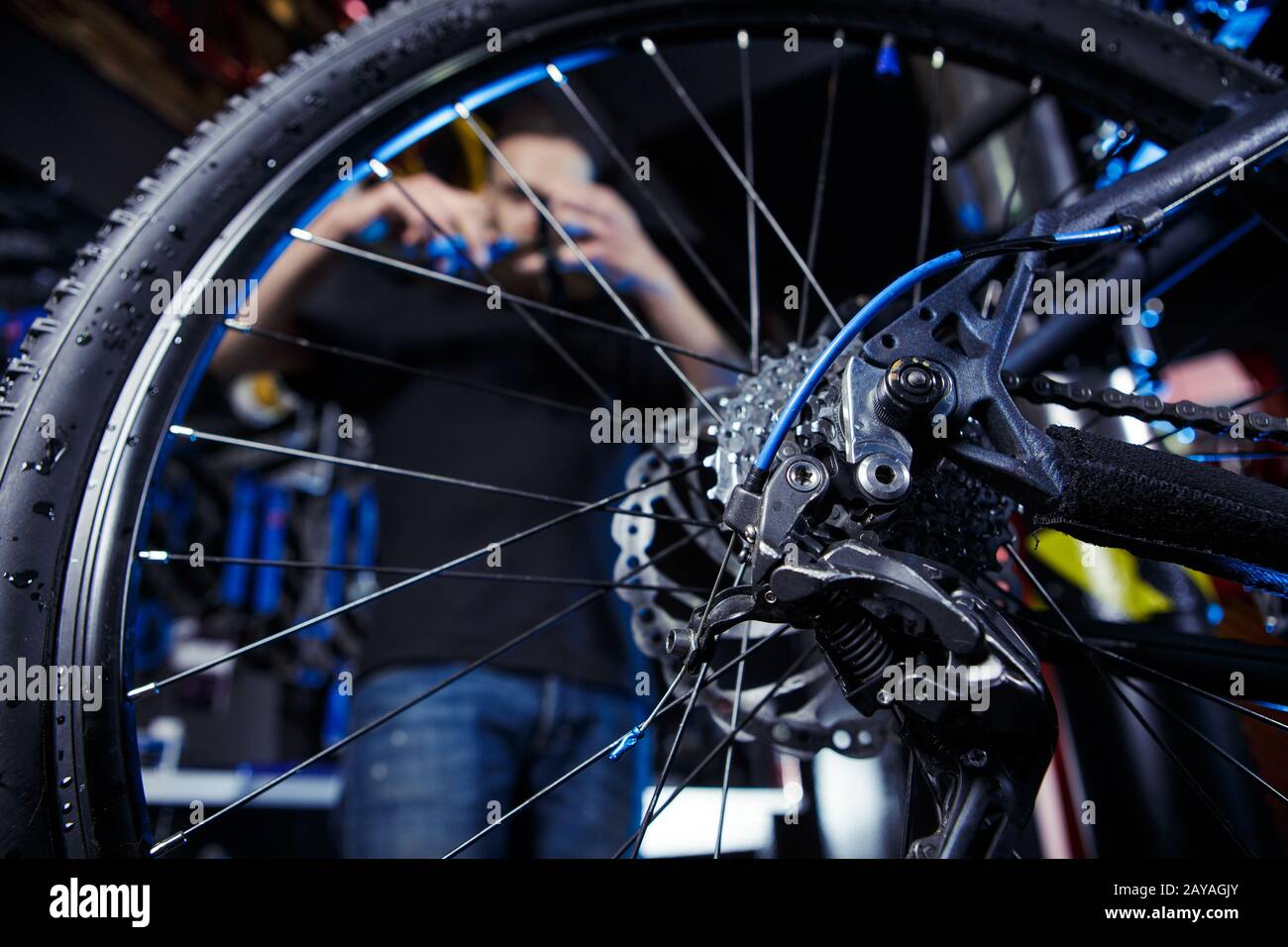b and b bike shop