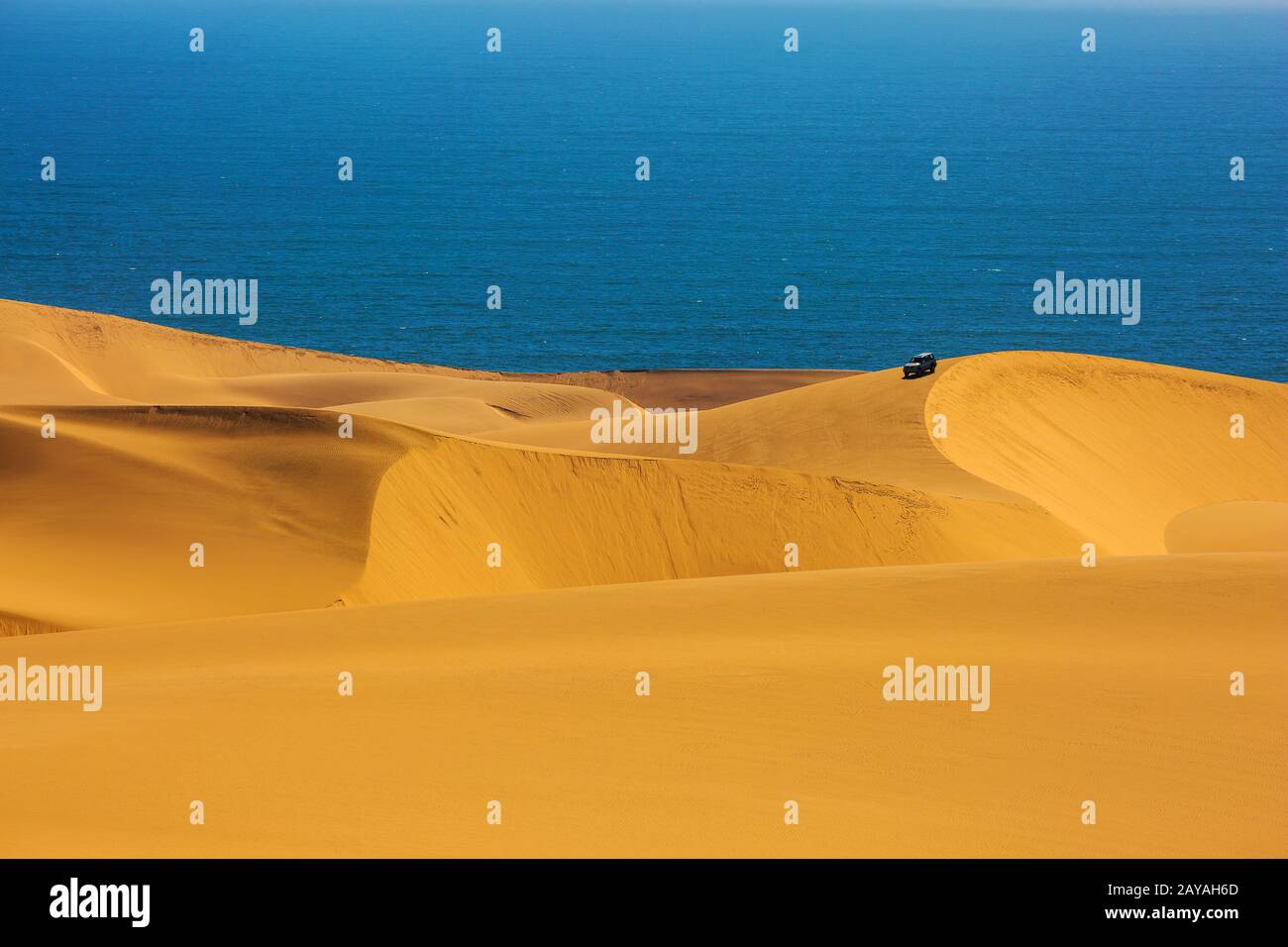 Atlantic sand dunes Stock Photo Alamy