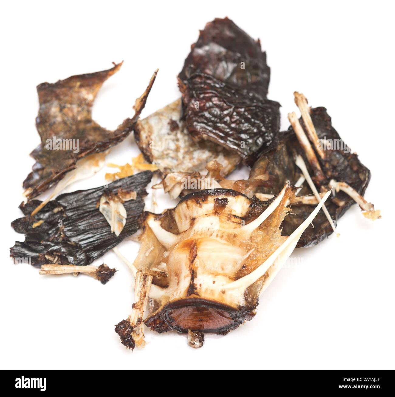 Fish bones hires stock photography and images Alamy