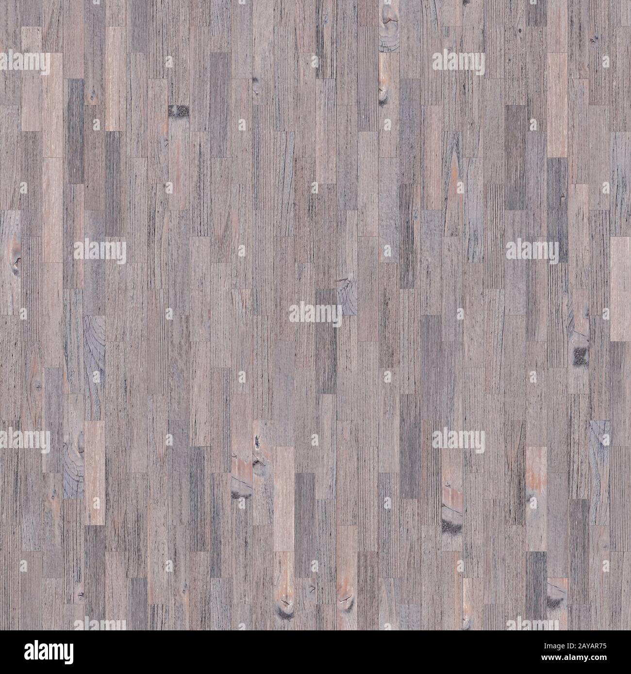 The background image with the texture image of a tree. Stock Photo