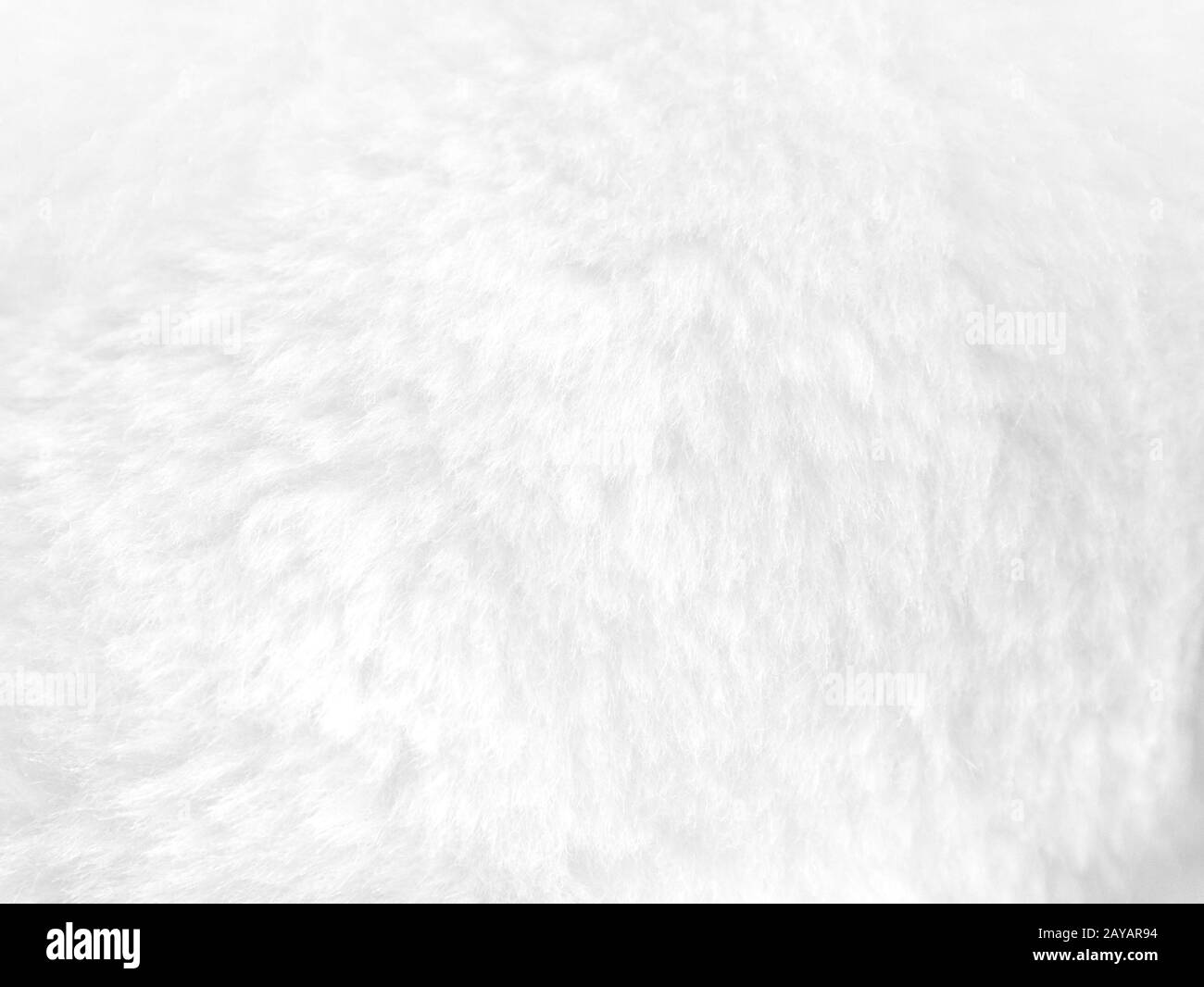 White fur background close up view Stock Photo