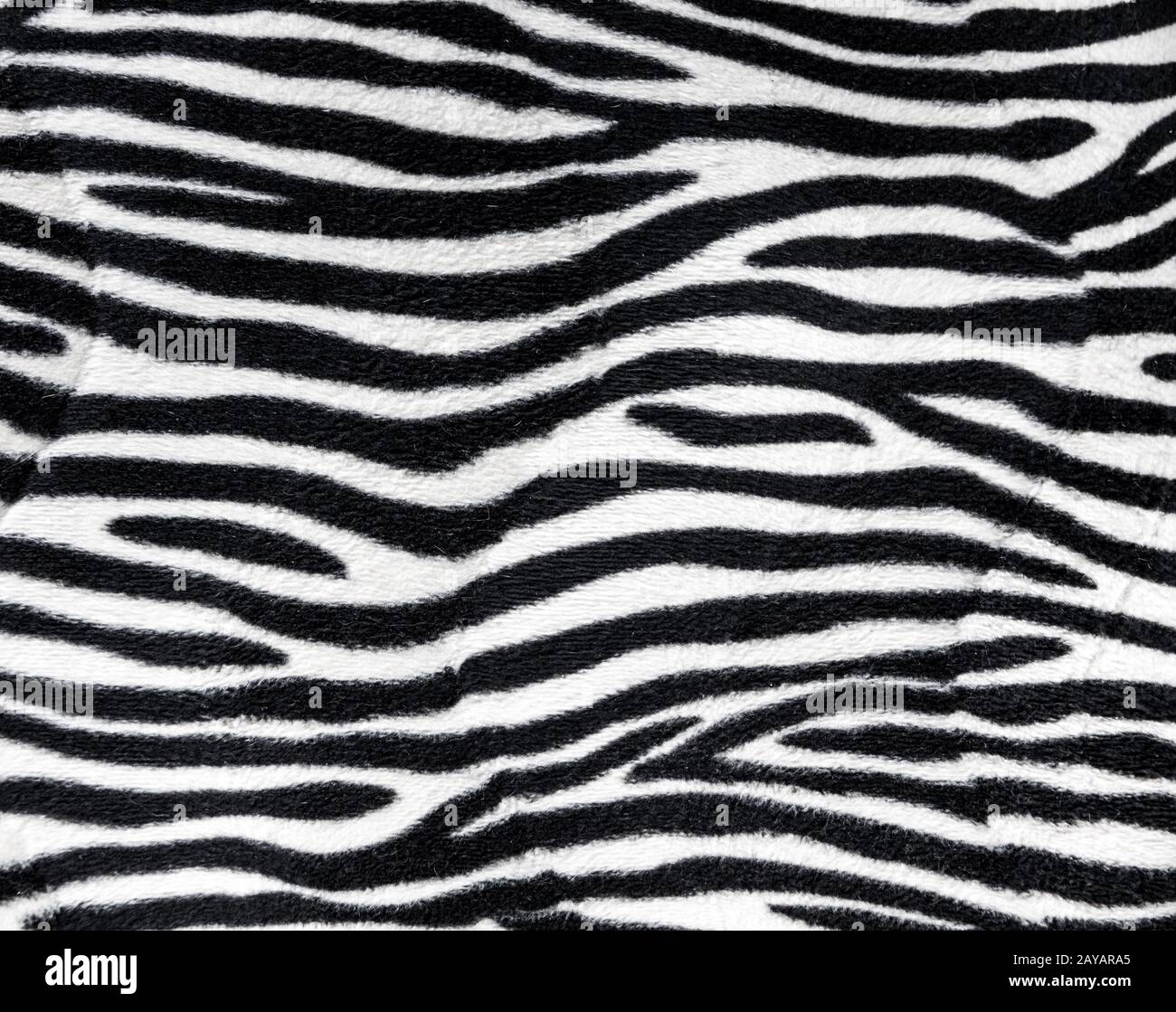 Zebra fur background texture Stock Photo - Alamy