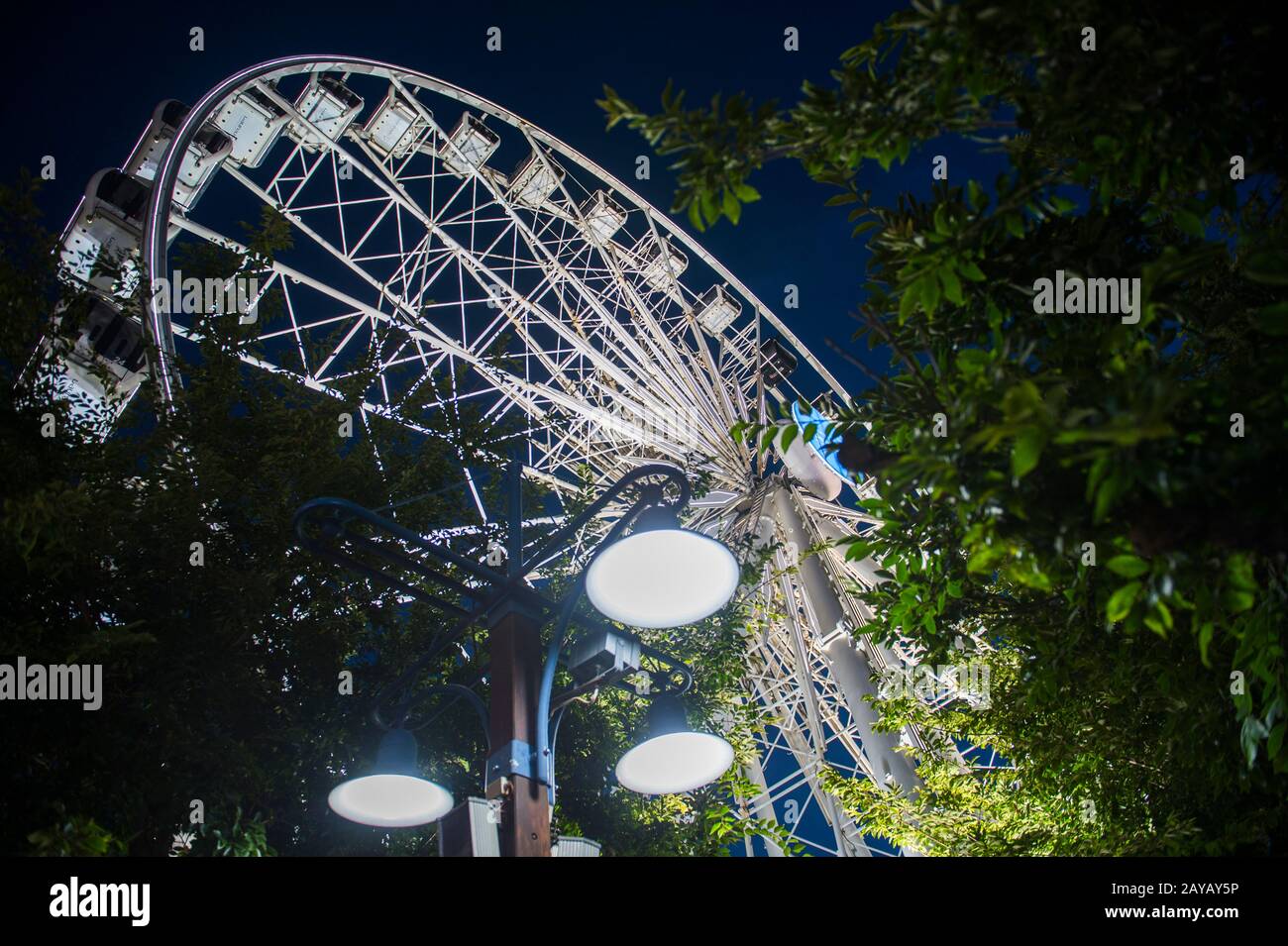 The Cape Wheel (Ferris wheel) at night at the V & A Waterfront in Cape
