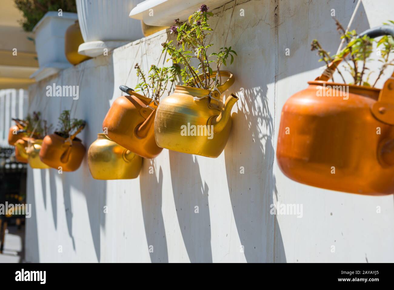 Copper kettles with plants hanging on white wall Stock Photo Alamy