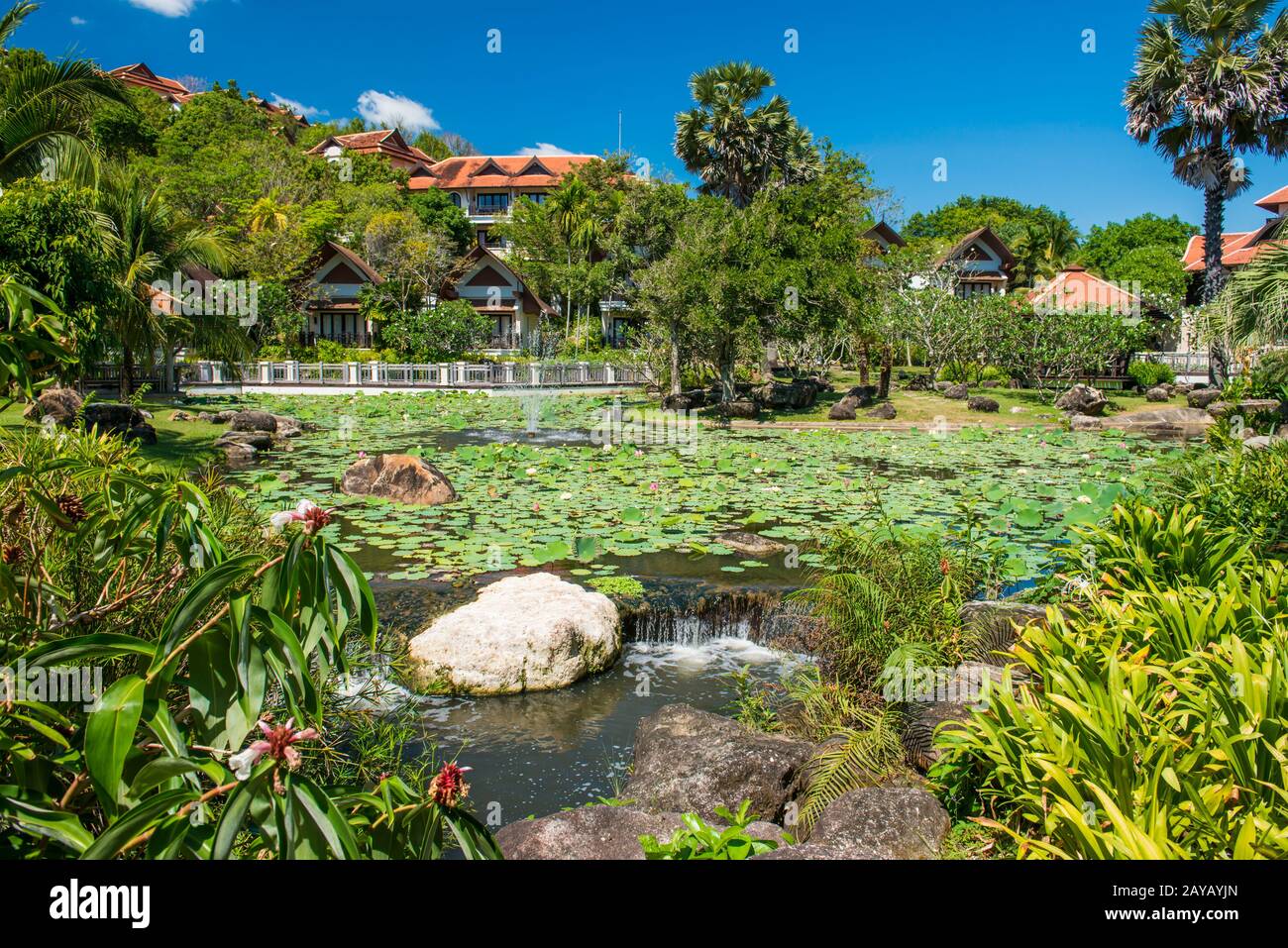 Green pond and buildings of hotel at tropical resort Stock Photo