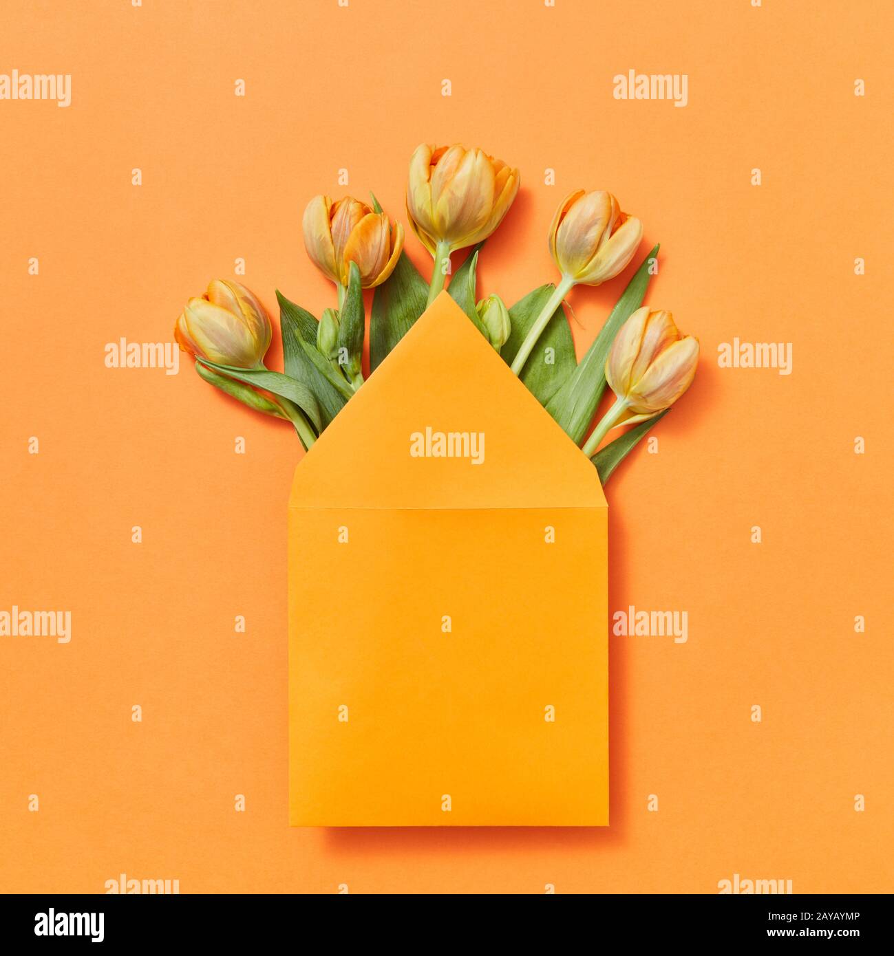 Download Mock Up Envelope With Yellow Tulips On An Orange Background Stock Photo Alamy PSD Mockup Templates