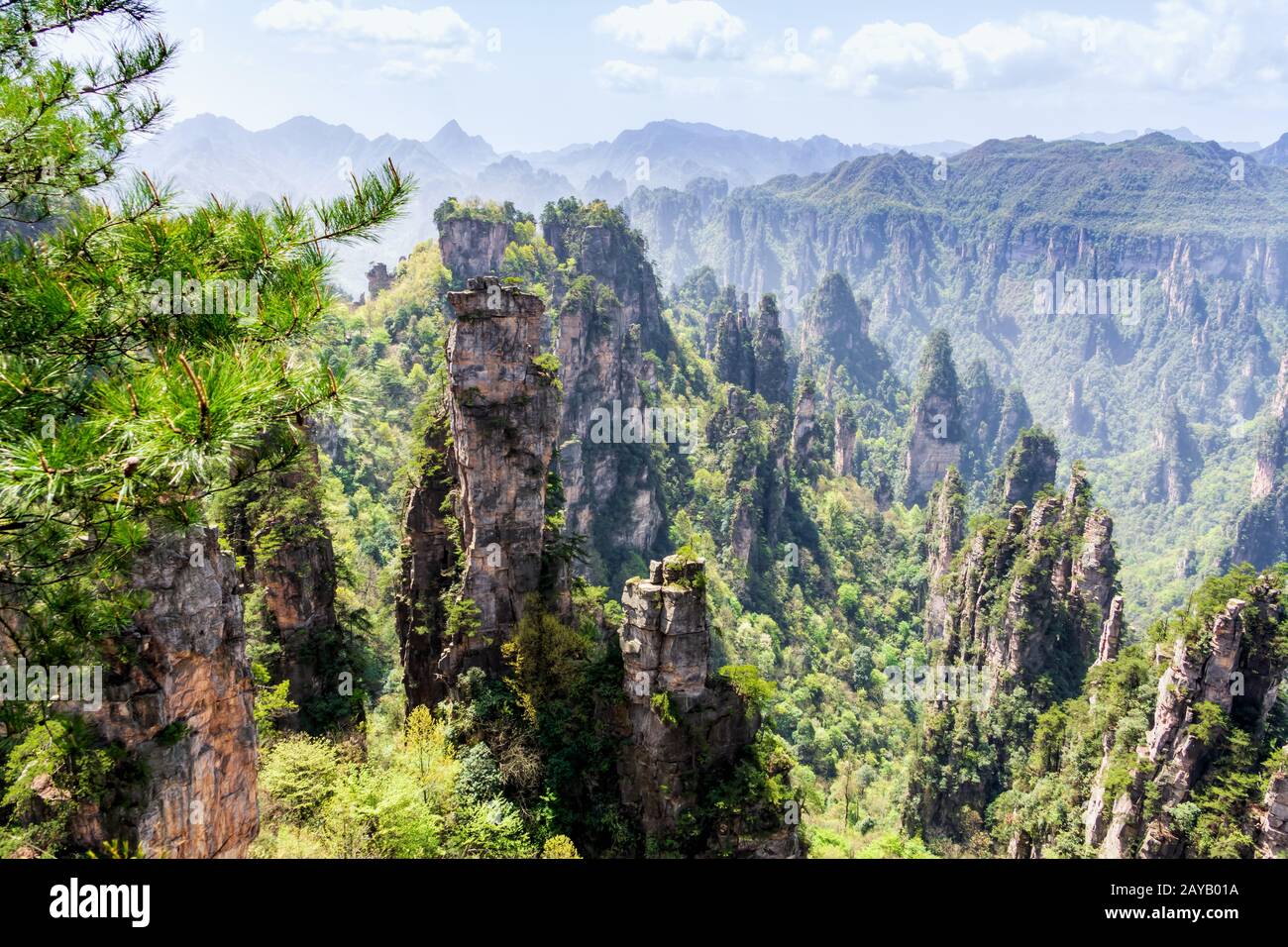 Zhangjiajie Forest Park. Pillar mountains rising from the canyon. Wulingyuan, China Stock Photo