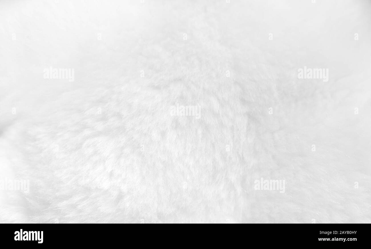White fur background close up view Stock Photo
