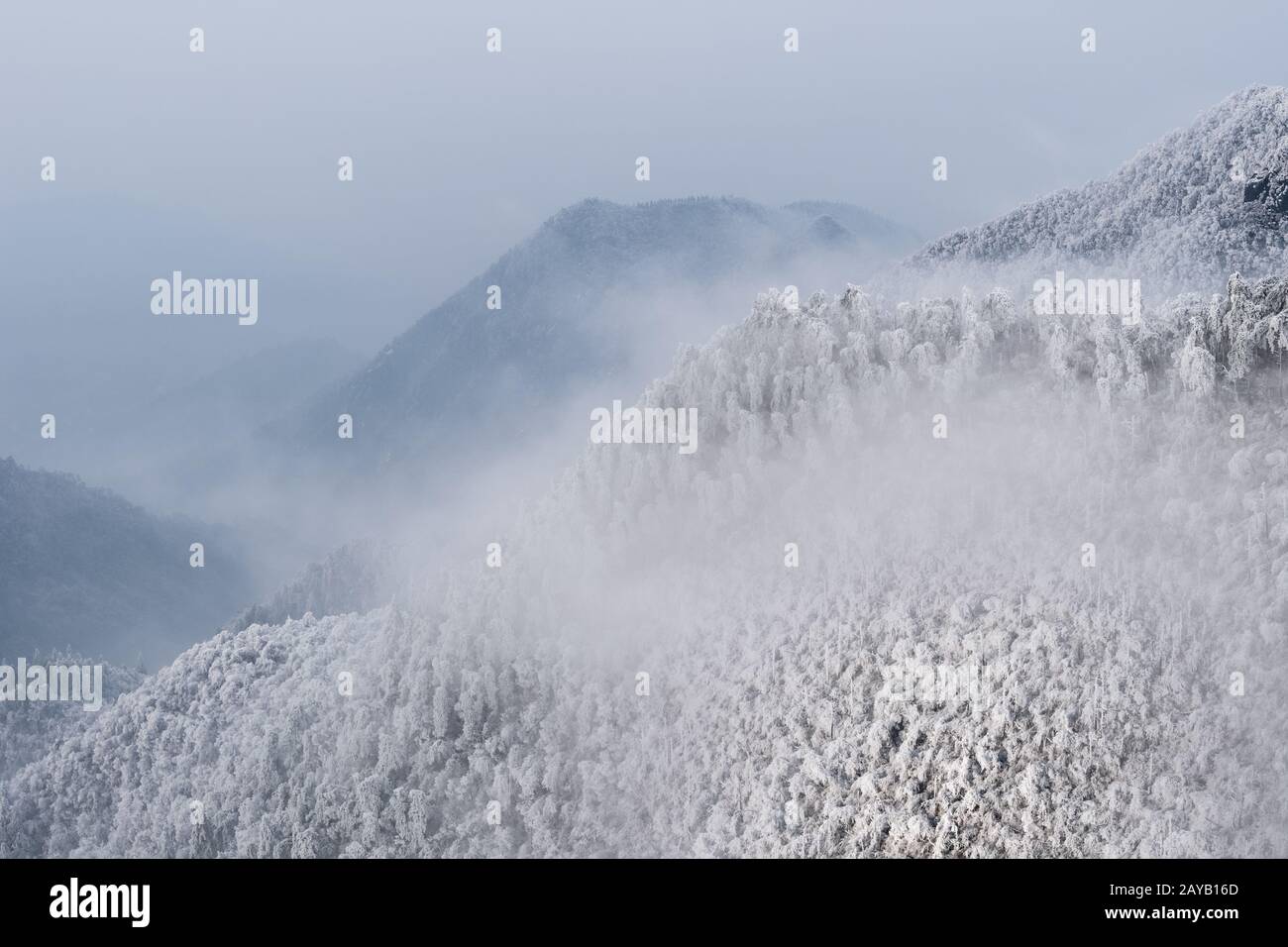 winter mountain forest background Stock Photo