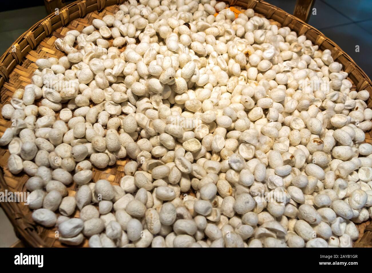 Large number of silk cocoons from silk worms on bamboo tray Stock Photo