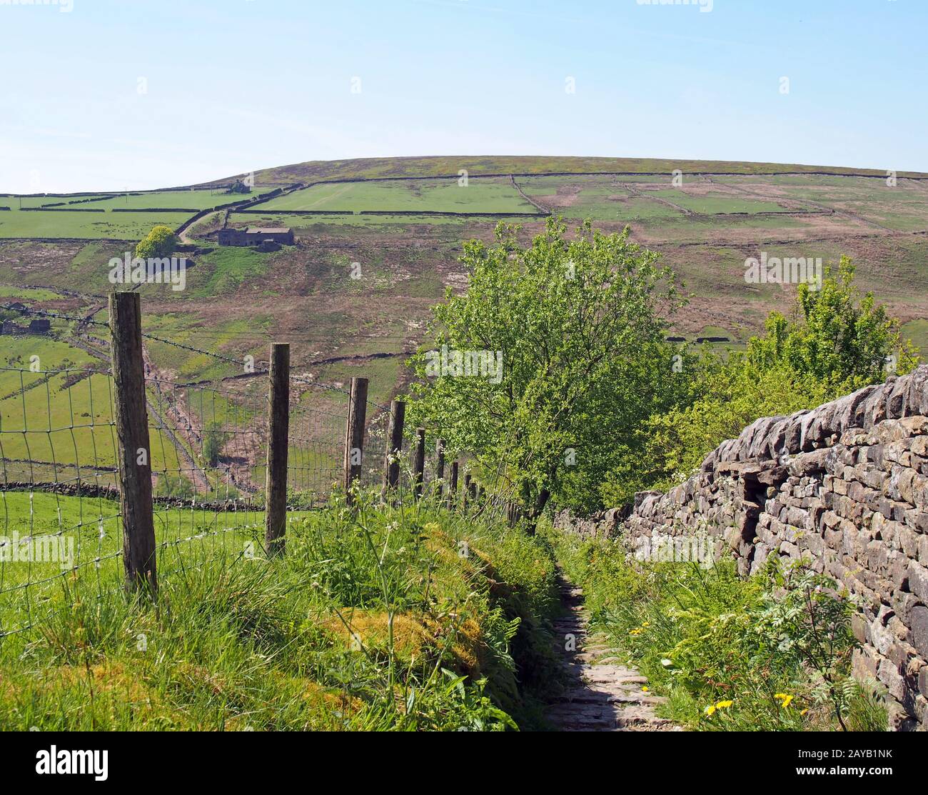 a narrow stone pathway bordered by a stone wall and fence leading downhill into a valley covered in meadows and moorland in the Stock Photo