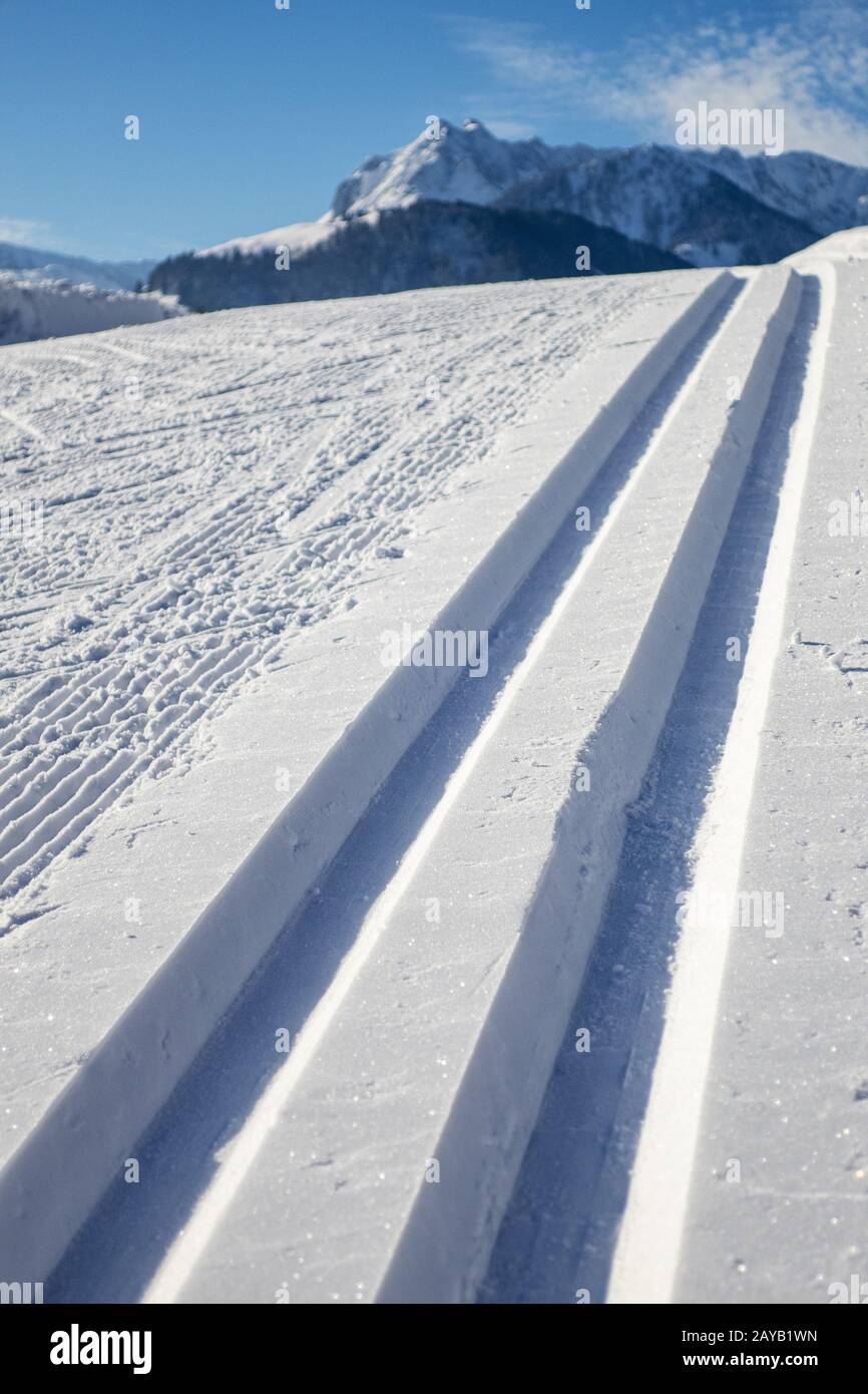 Cross-country ski run in winter Stock Photo