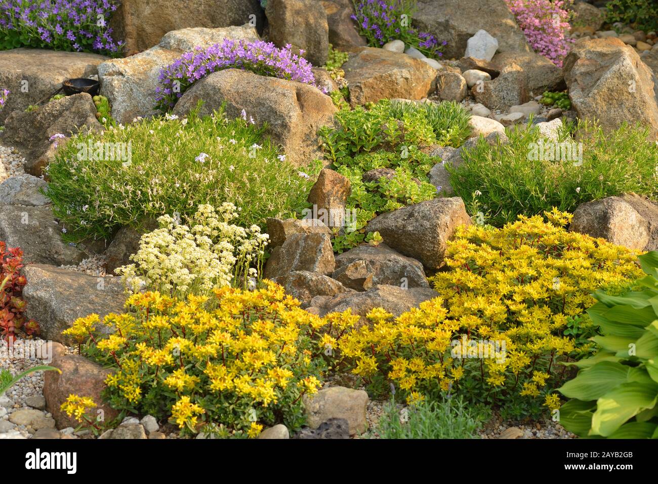 Blooming rock garden Stock Photo Alamy