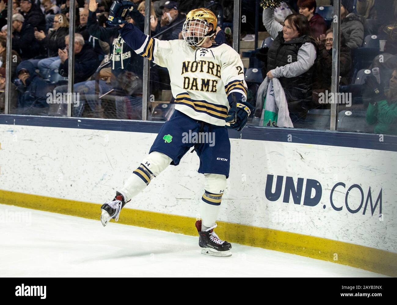 South Bend, Indiana, USA. 14th Feb, 2020. Notre Dame forward Cam Morrison  (26) celebrates goal during NCAA Hockey game action between the Minnesota  Golden Gophers and the Notre Dame Fighting Irish at