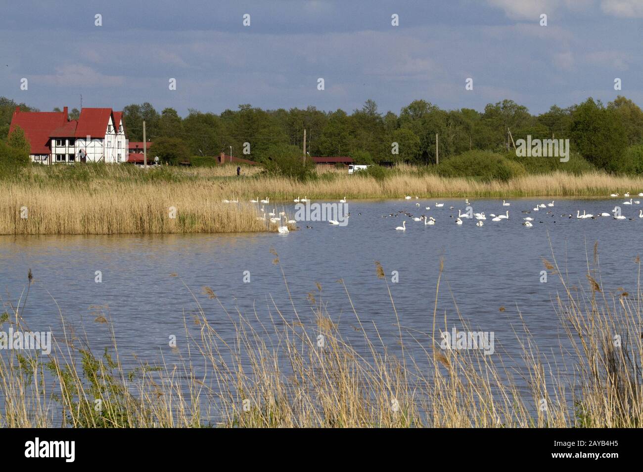 Uostadvaris, Curonian Haff, Memel-Delta, Lithuania, East Europe, Baltic  States Stock Photo - Alamy