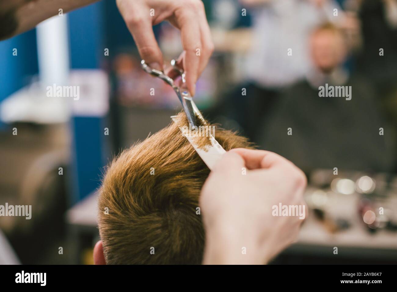 Barber Making Haircut Bearded Man In Professional stylist