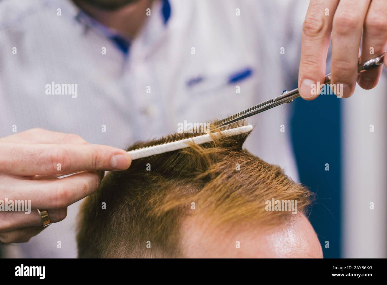 Barber Making Haircut Bearded Man In Barbershop. Professional stylist cutting client hair in salon. Barber using scissors and co Stock Photo