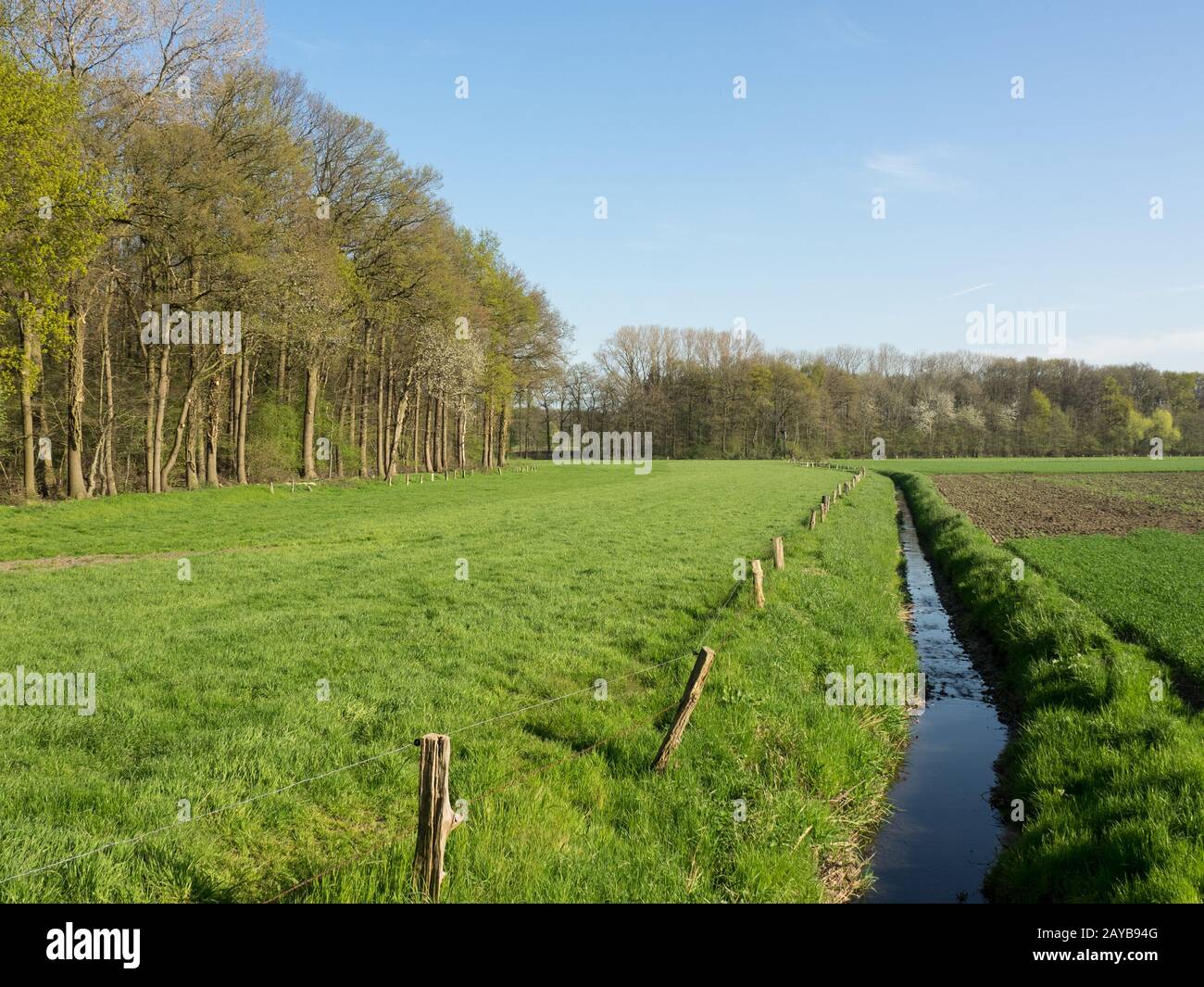 Samll tree hi-res stock photography and images - Alamy