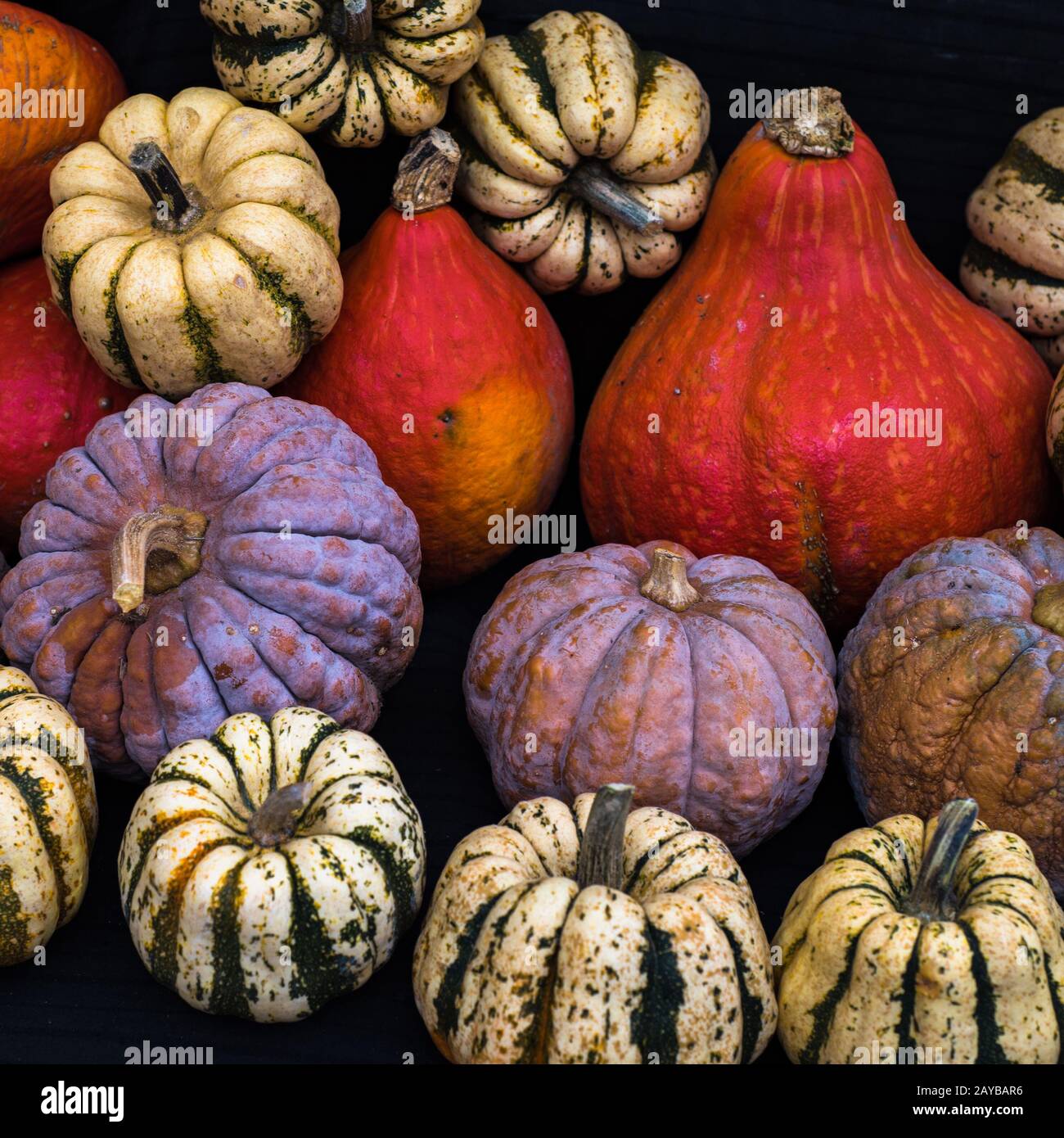 Collection of pumpkins at a farmers market Stock Photo - Alamy