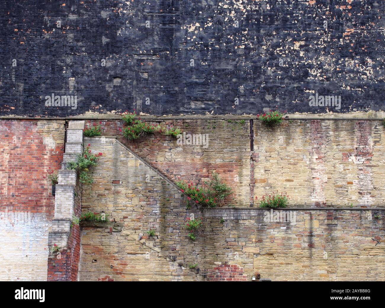 full frame image of a very large old brick wall with many patched and repaired sections stains weeds and black painted area Stock Photo