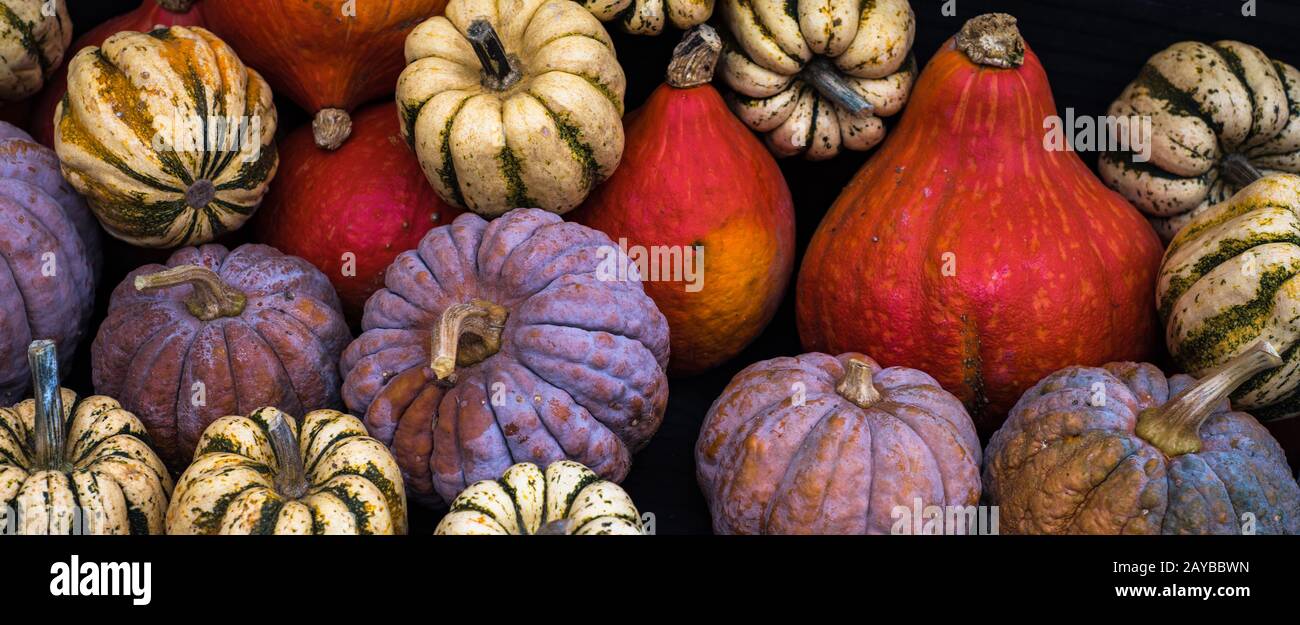 Collection of pumpkins at a farmers market Stock Photo - Alamy