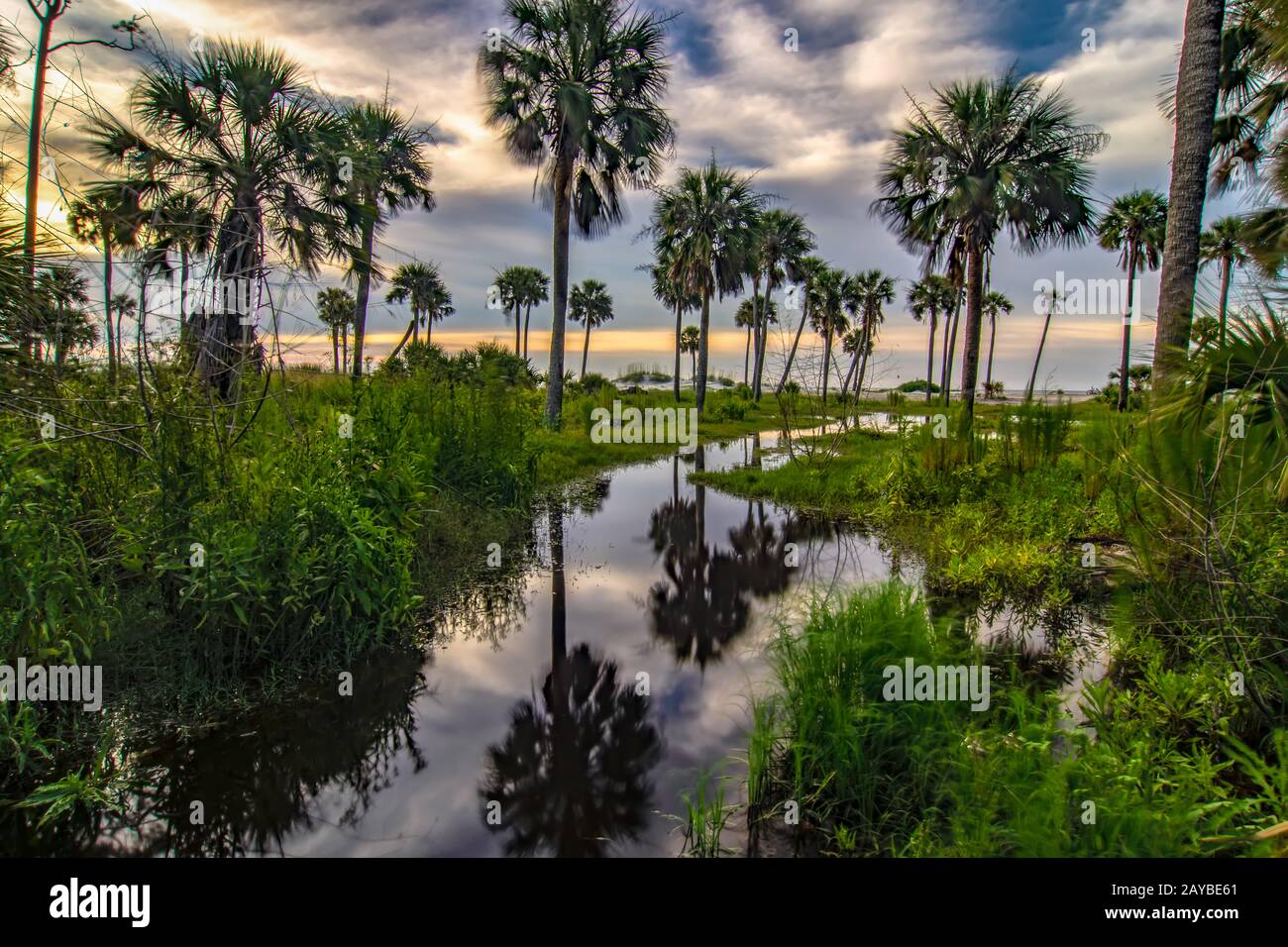 hunting island beach and state park in south carolina Stock Photo