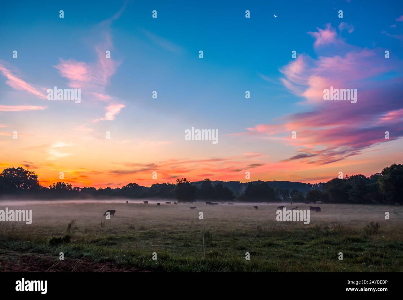 beautiful dreamy sunrise on the farm land in the country Stock Photo ...