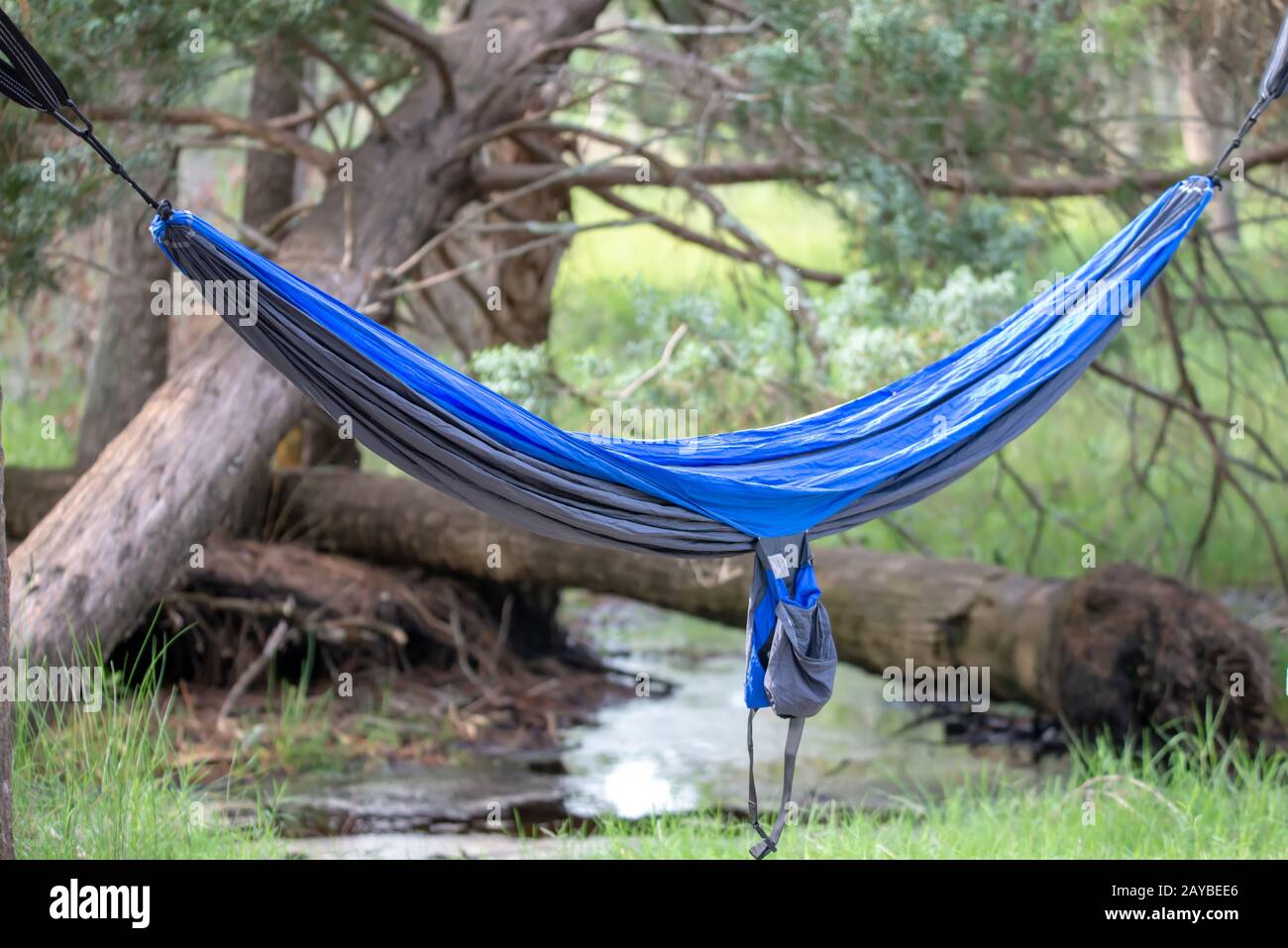 hammock in the woods at campsite Stock Photo