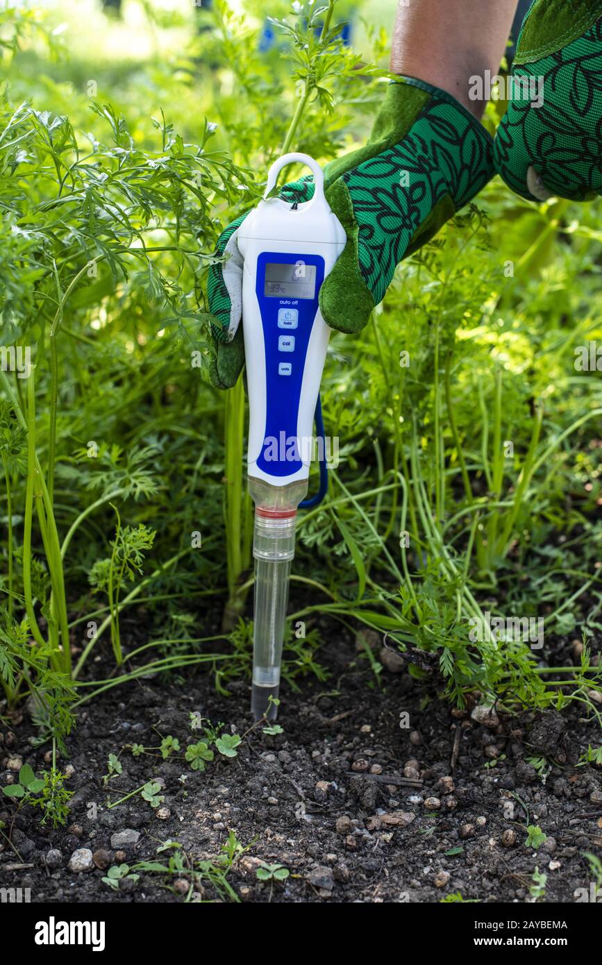 Ph meter in soil hires stock photography and images Alamy