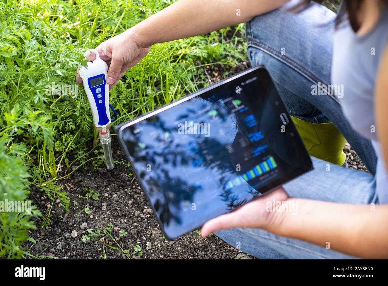 PH meter tester in soil. Measure soil with digital device and tablet