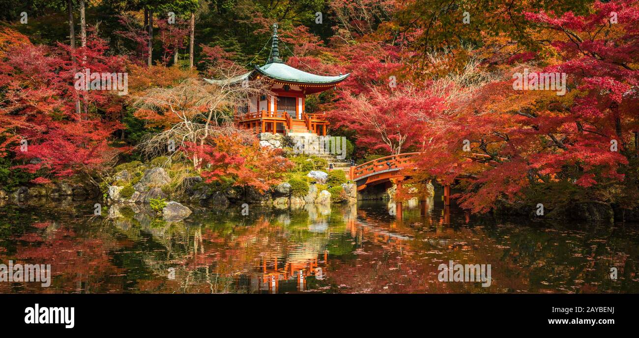 Momiji Japan High Resolution Stock Photography And Images Alamy