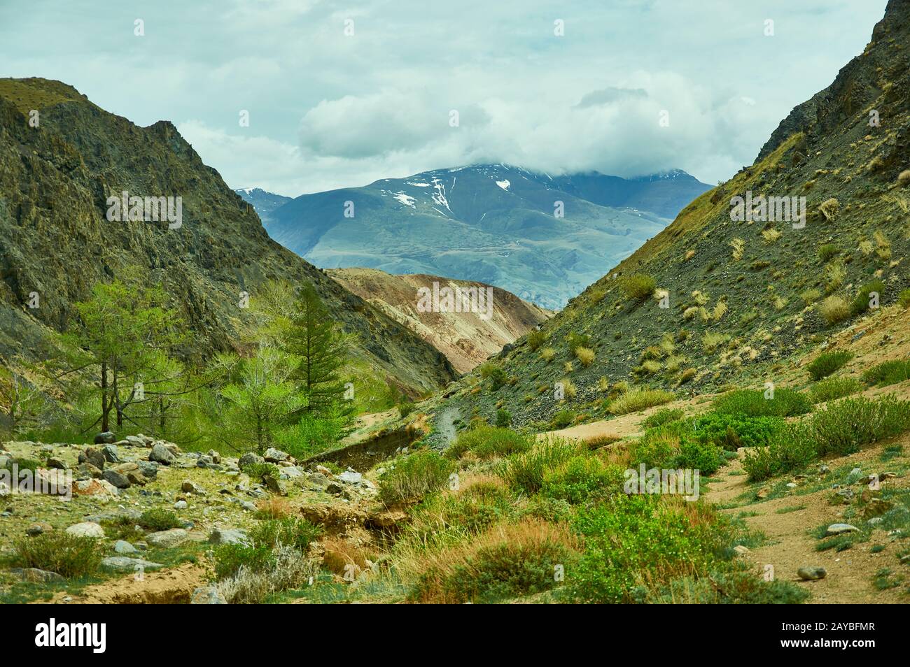 Chuya Steppe Stock Photo