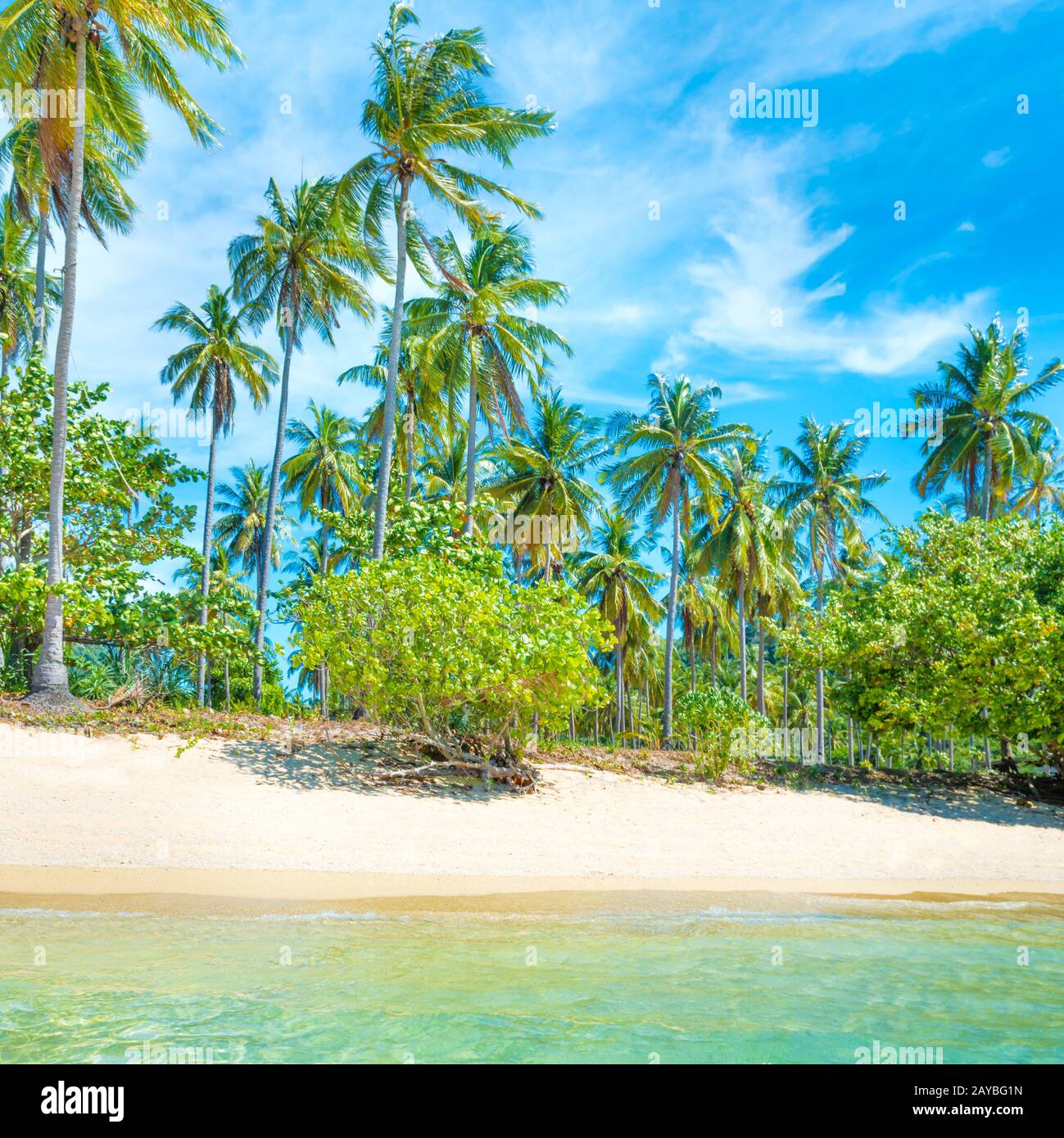 Beautiful beach at tropical island with palm trees Stock Photo - Alamy