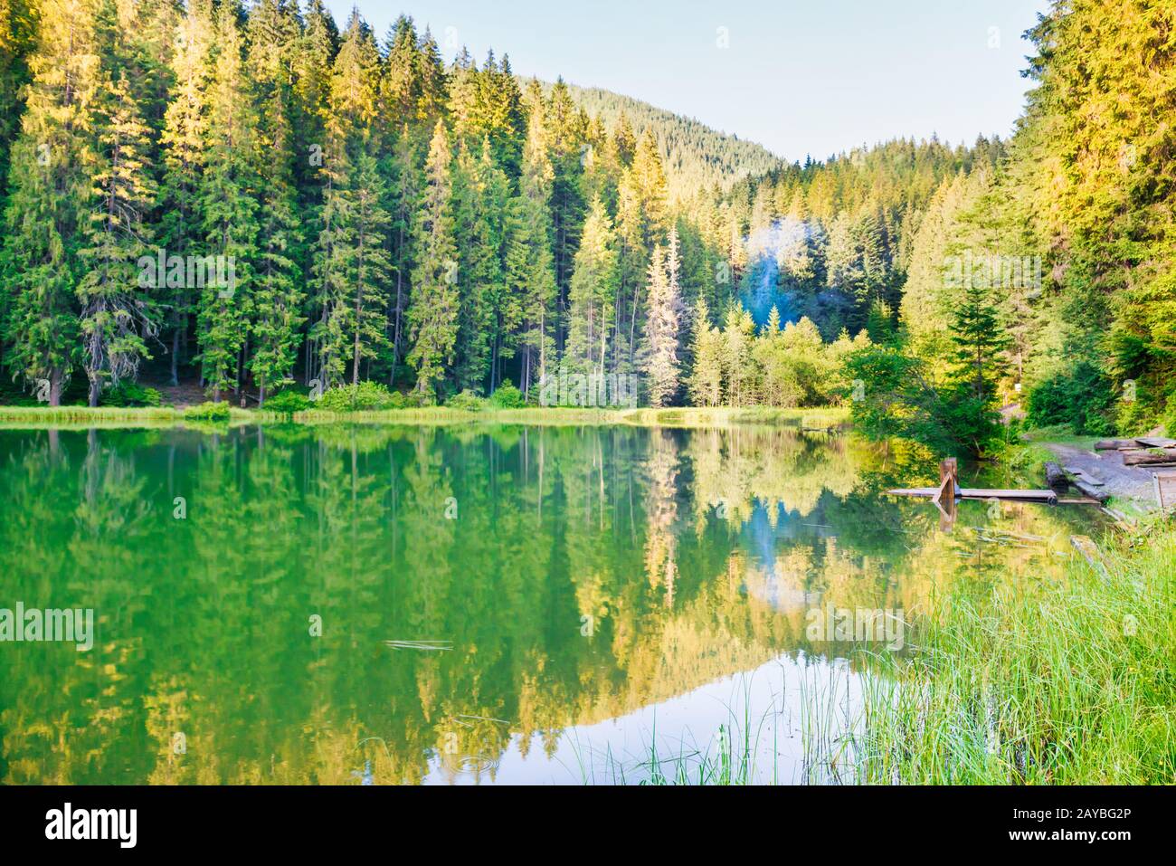 Forest lake in the mountains Stock Photo