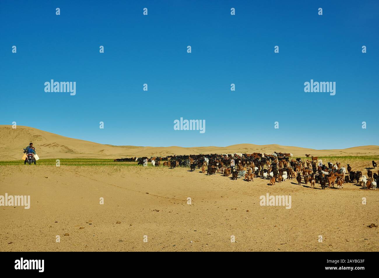 Sands Mongol Els Stock Photo