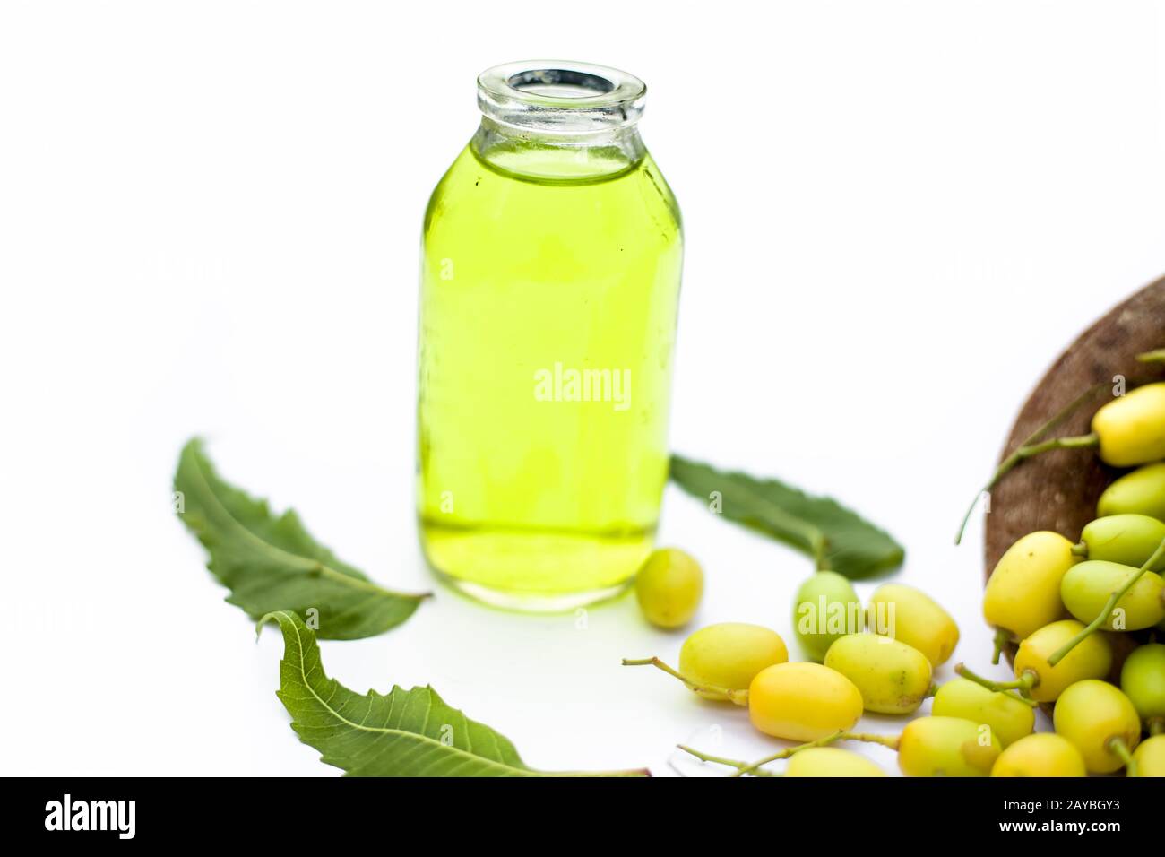 Fresh green neem fruit of Indian Lilac fruit in a clay bowl isolated on white along with its oil in a transparent glass bottle.Horizontal shot. Stock Photo