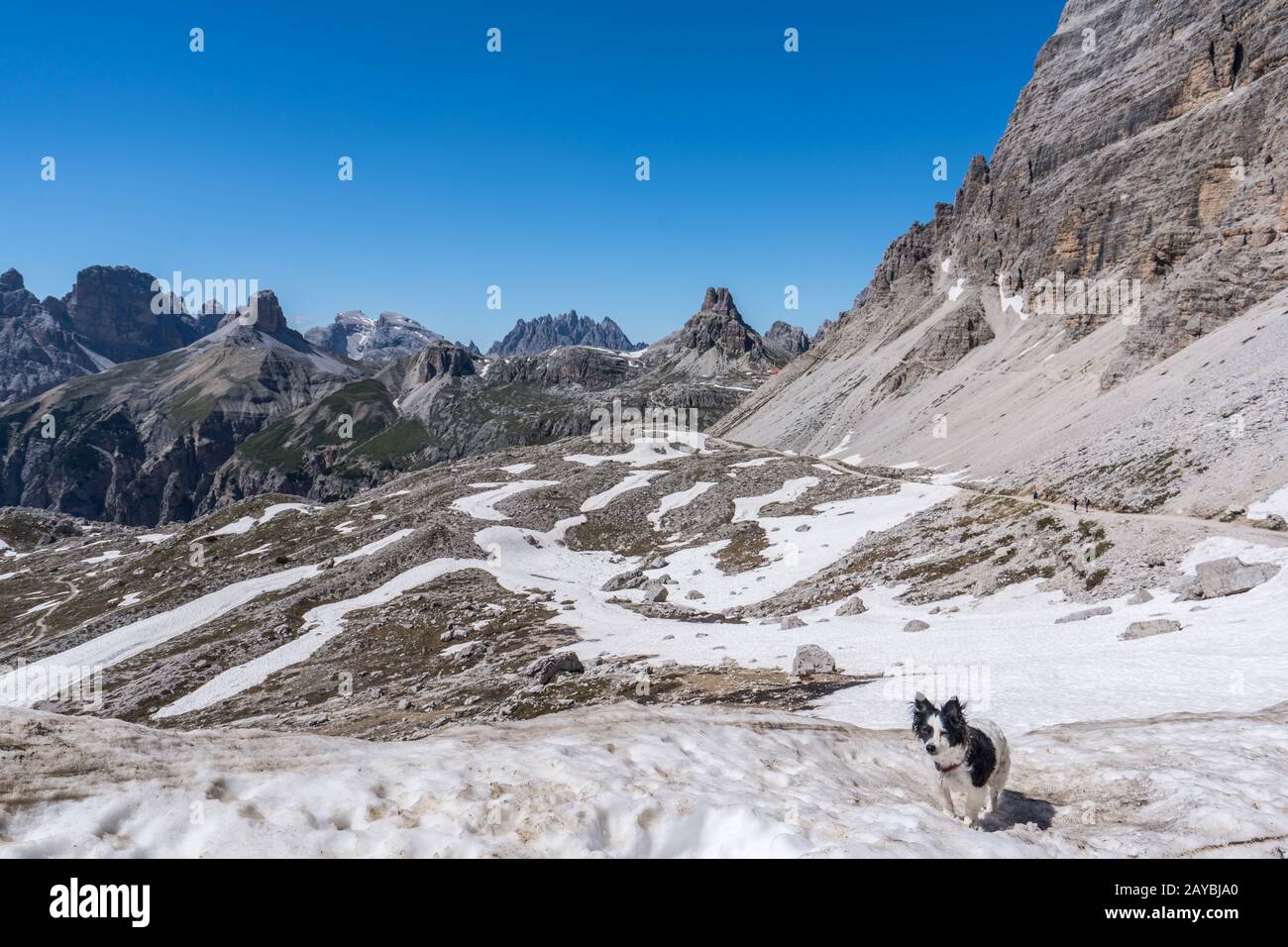 Wandern mit Hund auf dem Drei-Zinnen-Rundweg in den Sextner Dolomiten Stock Photo