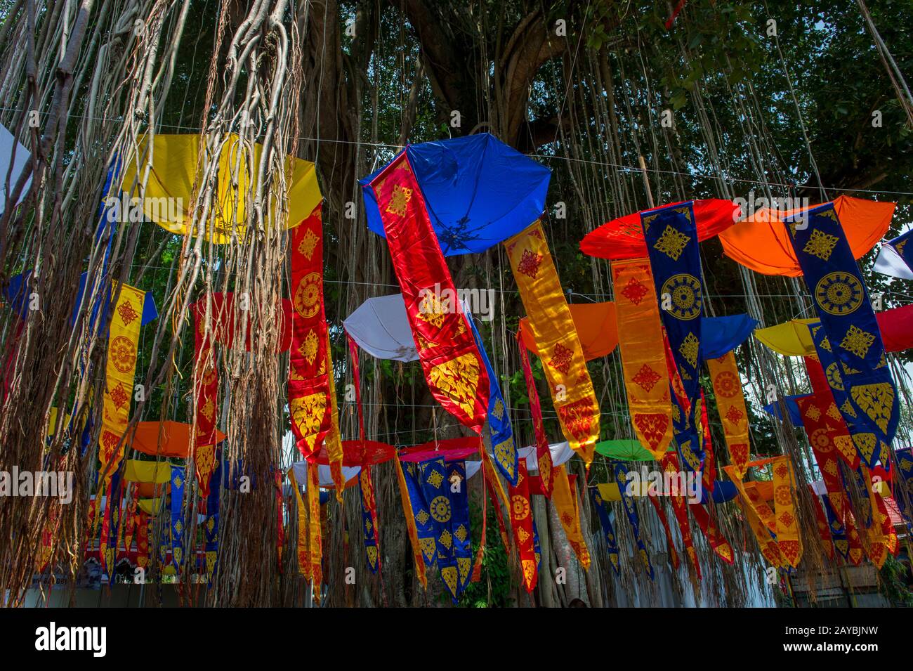 A Banyan tree decorated for the Buddhist full moon celebration at the ...