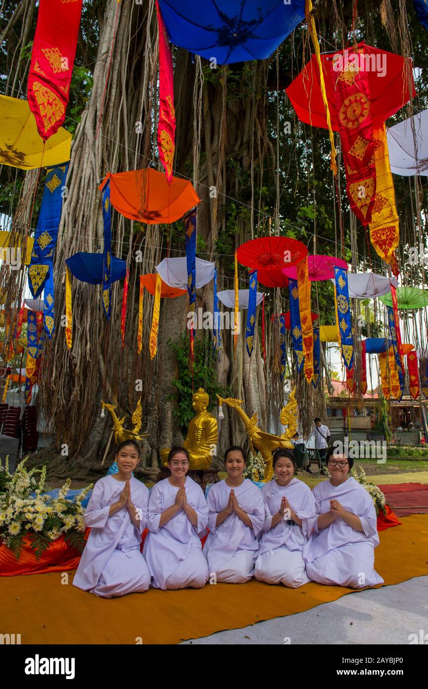 Buddhist nuns under a Banyan tree decorated for the Buddhist full moon ...