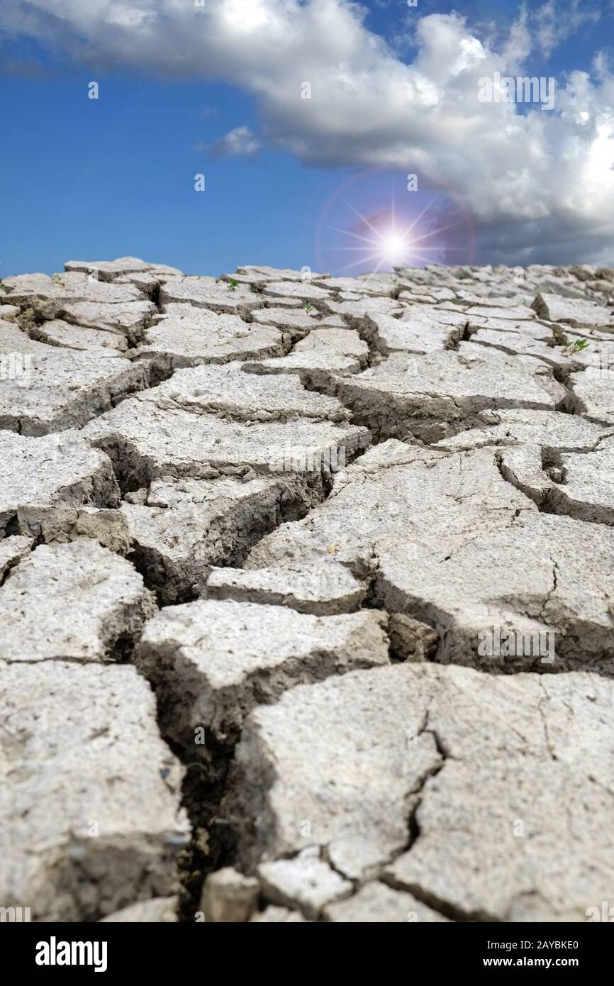 Dry earth clods Stock Photo